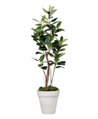 Künstlicher Gummibaum - Mulan | 220 cm