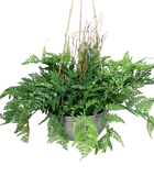 Künstlicher Hängefarn - Ismet | 32 cm |  in Hängekunststoffschale