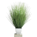 Hochwertiges Kunstgras auf transparentem Hintergrund mit echt wirkenden Kunstblättern in natürlicher Anordnung. Künstliches Isolepsisgras - Alma hat die Farbe Natur und ist 80 cm hoch. | aplanta Kunstpflanzen