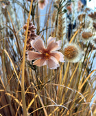 Flores artificiais do prado - Ambre | 50 cm