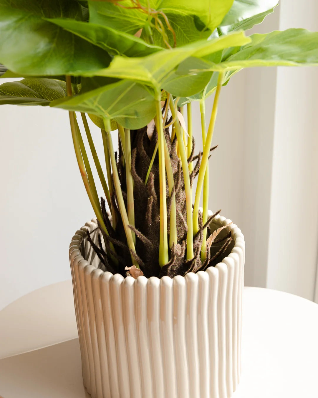Künstliche Philodendron - Phoebe, 80 cm, Kunstpflanze von aplanta, im schwarzen Topf, in Natur, für drinnen