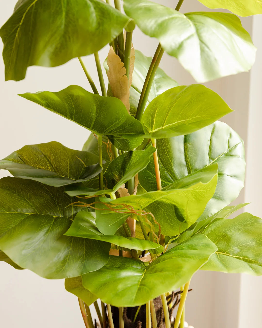 Künstliche Philodendron - Phoebe, 80 cm, Kunstpflanze von aplanta, im schwarzen Topf, in Natur, für drinnen
