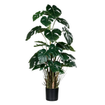 Künstliche Monstera - Jochen, 82 cm, Kunstpflanze von aplanta, im schwarzen Topf, in Natur, für drinnen