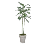 Künstliche Chico Palme - Richi | 180cm