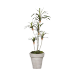 Künstlicher Drachenbaum - Minor, 100 cm, Kunstbaum von aplanta, im schwarzen Topf, in Natur, für drinnen