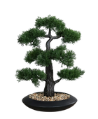 Künstlicher Zedern-Bonsai - Roy | 44 cm | in schwarzer Schale