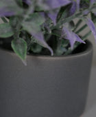 Künstlicher Lavendel - Alluka | 13 cm | im grauen Keramiktopf - Kunstpflanzen von aplanta