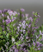 Künstlicher Lavendel - Sejad | 15 cm | im grünen Keramiktopf - Kunstpflanzen von aplanta