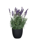 Künstlicher Lavendel - Ibo | 31 cm