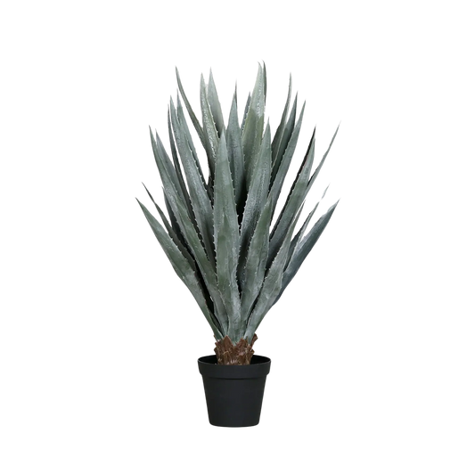 Künstliche Agave - Takehiro | 113 cm