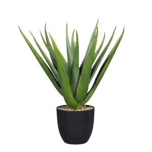 Künstliche Aloe Vera - Chester | 50 cm