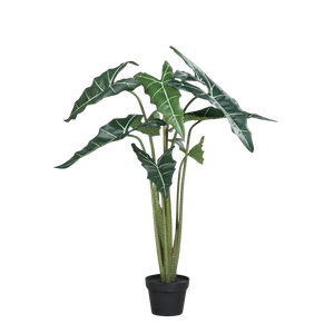 Künstliche Alocasia - Marco | 100 cm