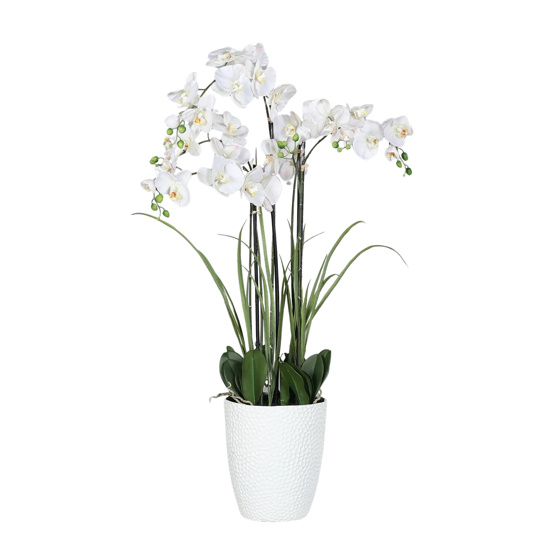 Künstliche Orchidee - Aylin | 120 cm