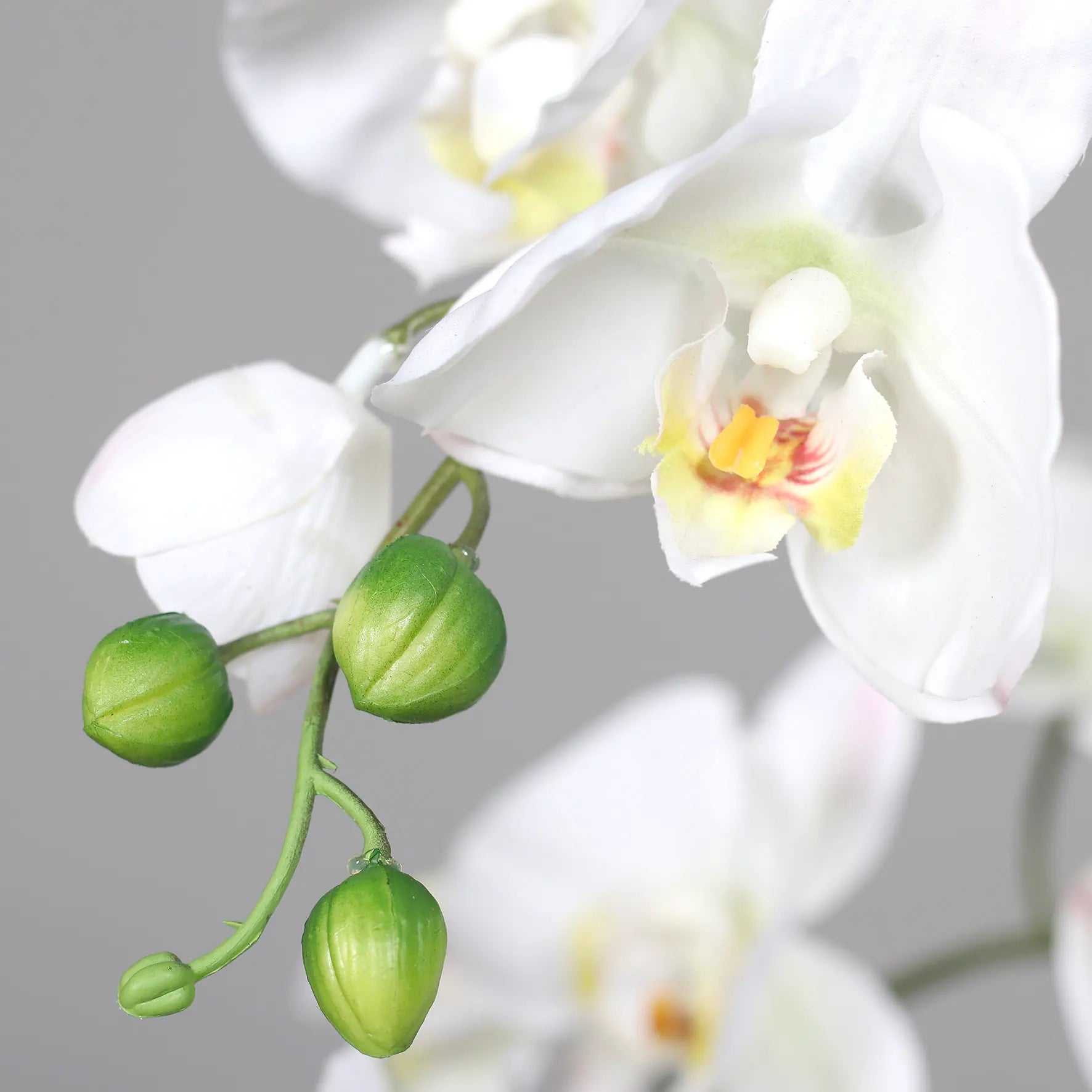 Künstliche Orchidee - Aylin | 120 cm, Real Touch - Kunstpflanzen von aplanta