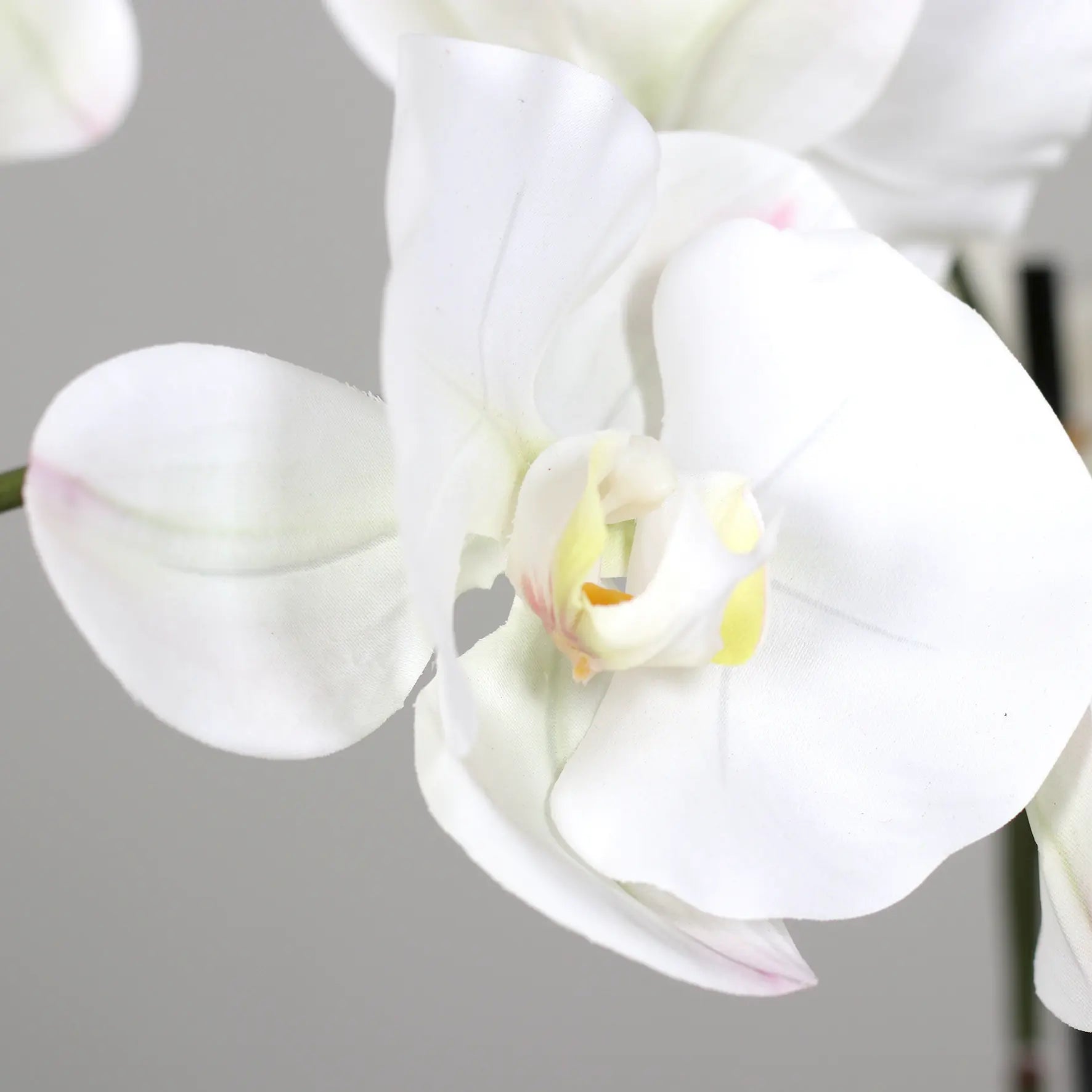 Künstliche Orchidee - Aylin | 120 cm, Real Touch - Kunstpflanzen von aplanta