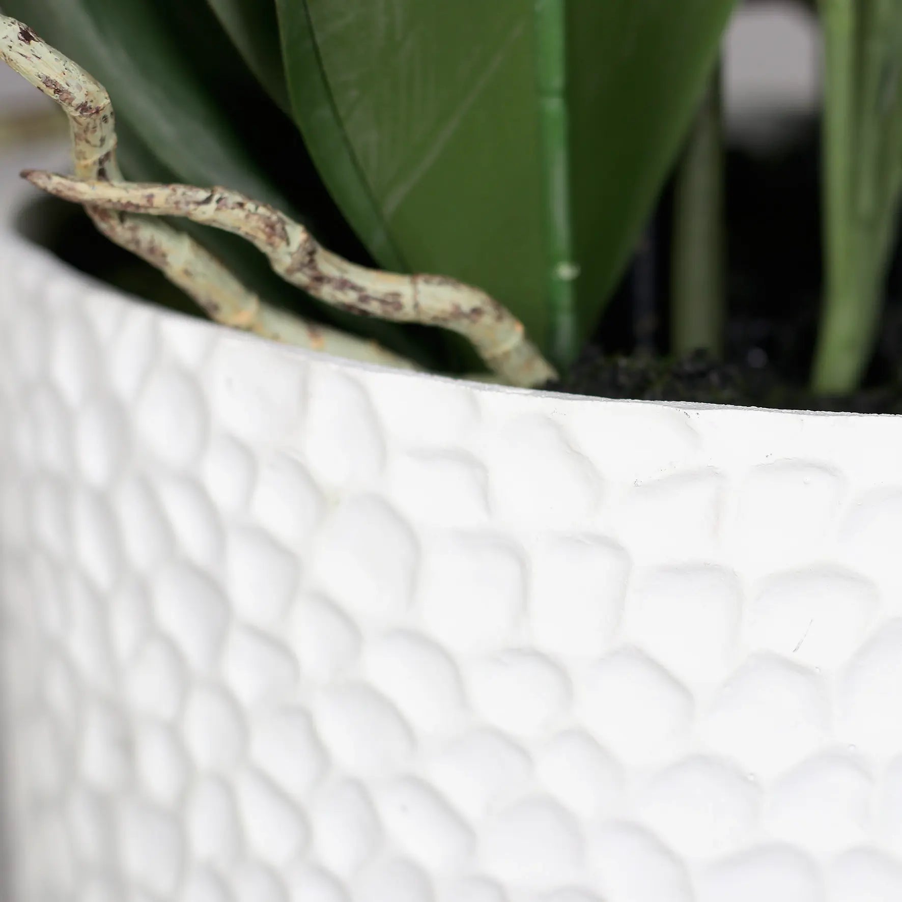 Künstliche Orchidee - Aylin | 120 cm, Real Touch - Kunstpflanzen von aplanta