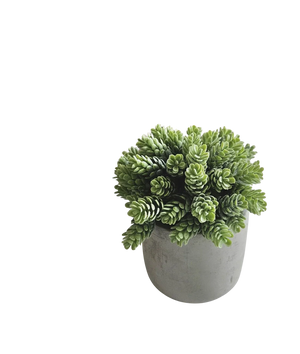 Künstliche Sukkulente - Rema | 18 cm