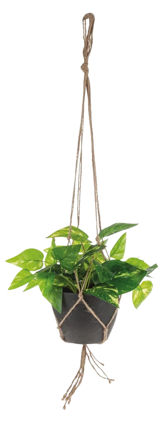 Künstliche Efeutute - Roger | 62 cm