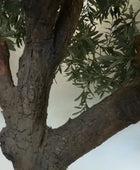 Künstlicher Olivenbaum - Ilias | 270 cm