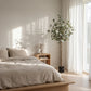 Künstlicher Eucalyptus Baum - Parla, 150 cm, Kunstbaum von aplanta, mit Echtholzstamm, in Grün, für drinnen