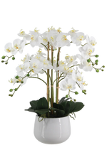 Künstliche Orchidee - Dan | 65 cm