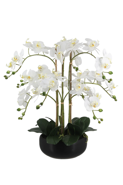 Künstliche Orchidee - Bo, 65 cm, Kunstblume von aplanta, inkl. Dekotopf, in Weiß, für drinnen
