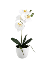 Künstliche Orchidee - Han, 35 cm, Kunstblume von aplanta, inkl. Dekotopf, Real Touch, in Weiß, für drinnen
