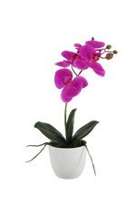 Künstliche Orchidee - Juan | 36 cm