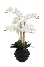 Künstliche Orchidee - Chi, 66 cm, Kunstblume von aplanta, inkl. Dekotopf, in Lila, für drinnen