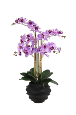 Künstliche Orchidee - Lien | 67 cm