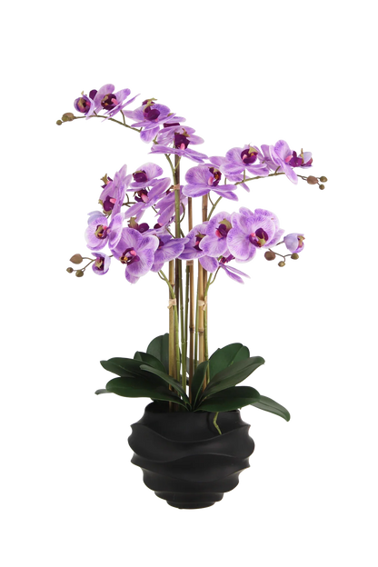 Künstliche Orchidee - Lien | 67 cm