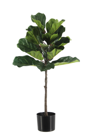 Künstlicher Ficus Lyrata - Niran | 90 cm