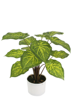 Künstliche Caladium - Lima, 61 cm, Kunstpflanze von aplanta, inkl. Dekotopf, in Grün, für drinnen