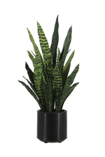 Künstlicher Bogenhanf - Leandro | 75 cm