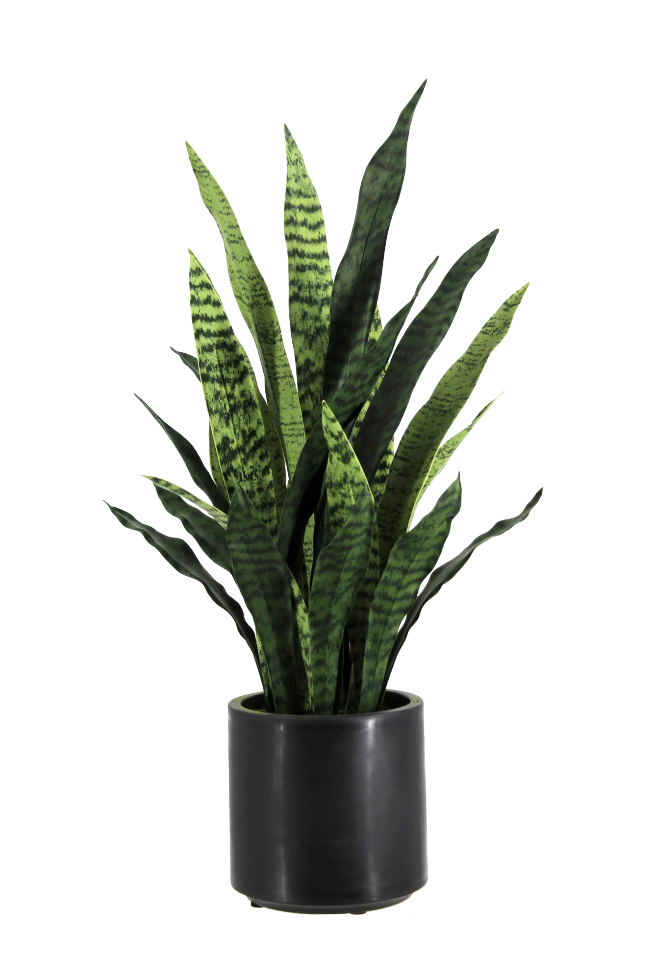 Künstlicher Bogenhanf - Nero | 90 cm