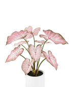 Künstliche Caladium - Mayra | 70 cm