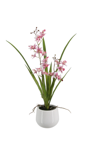 Künstliche Orchidee - Feng | 51 cm