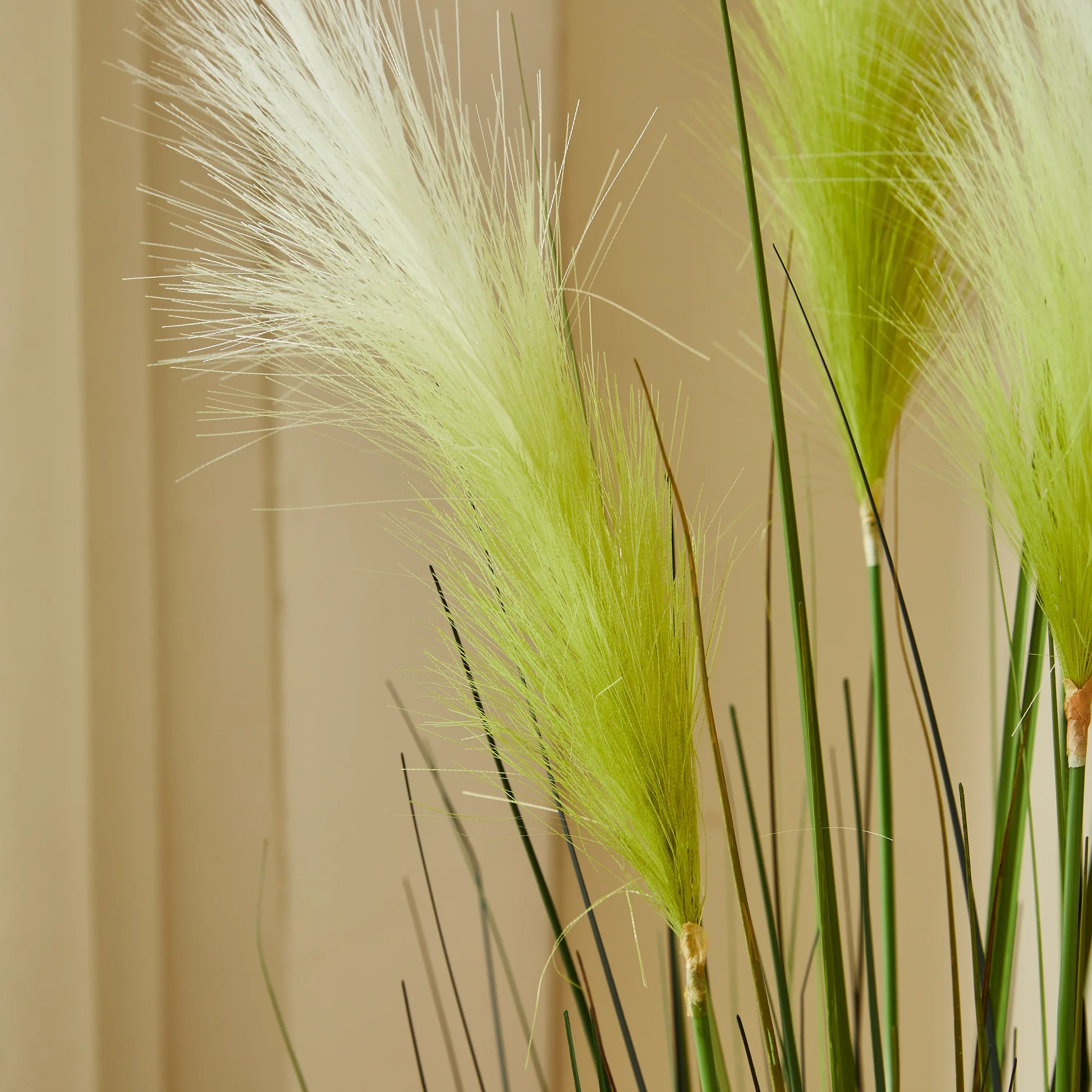 Künstliches Pampasgras – Thalassa | 150 cm