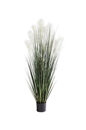 Künstliches Pampasgras – Aurelius | 152 cm