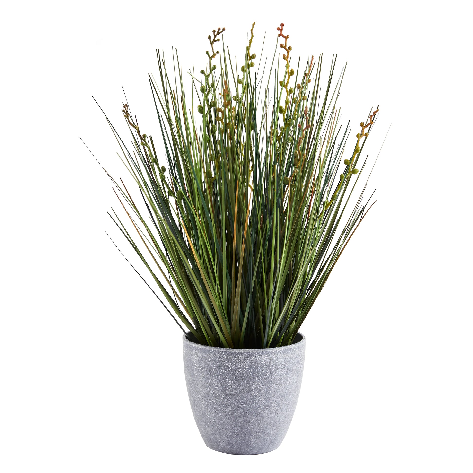 Künstliches Gras - Isambard, 35 cm, Kunstpflanze von aplanta, mit Fruchtstamm, in Grün, für drinnen