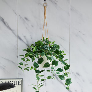 Künstlicher Hänge-Pothos – Cornelius | 80 cm