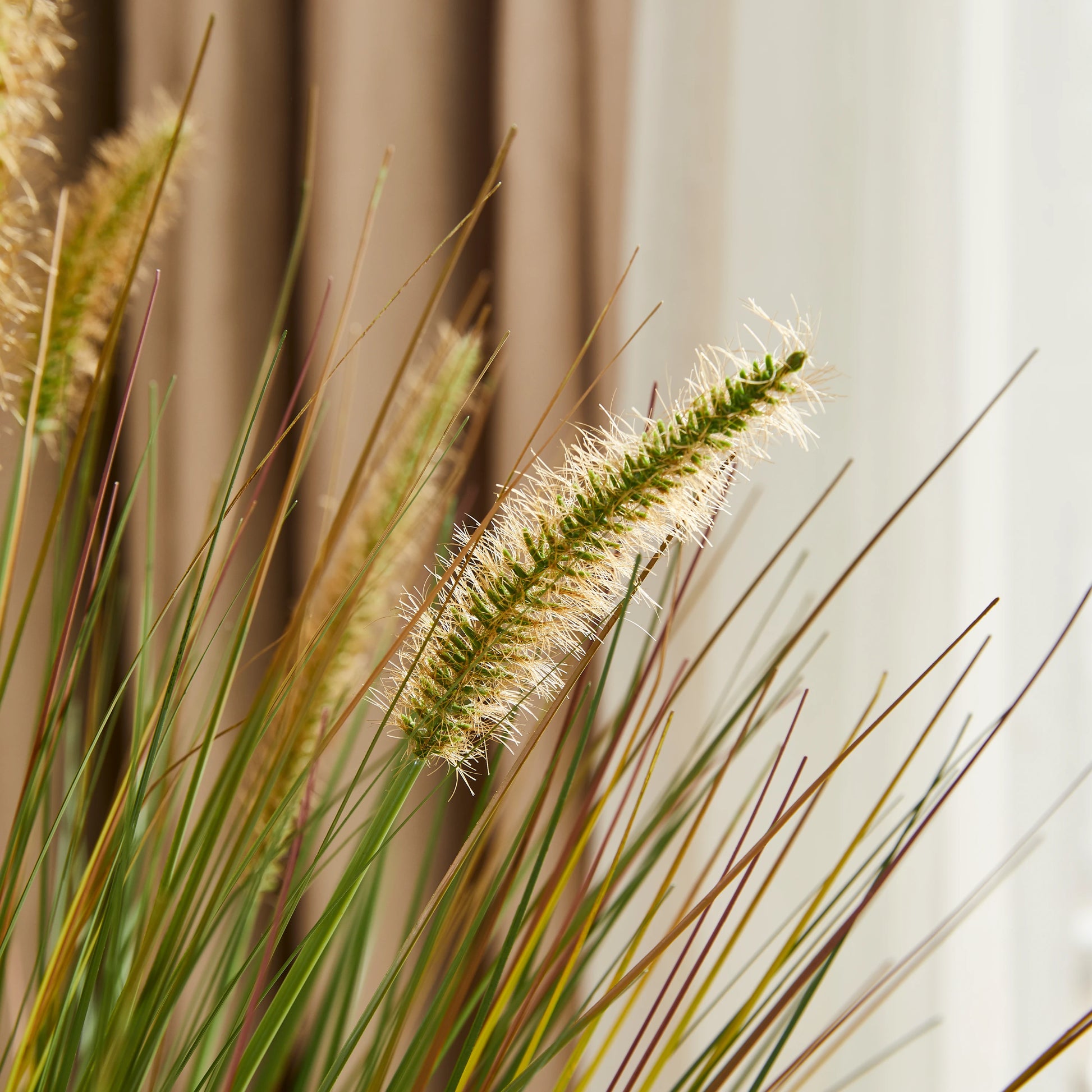 Künstliches Japanisches Lampenputzergras - Yuki, 58 cm, Kunstpflanze von aplanta, mit Fruchtstamm, in Grün, für drinnen