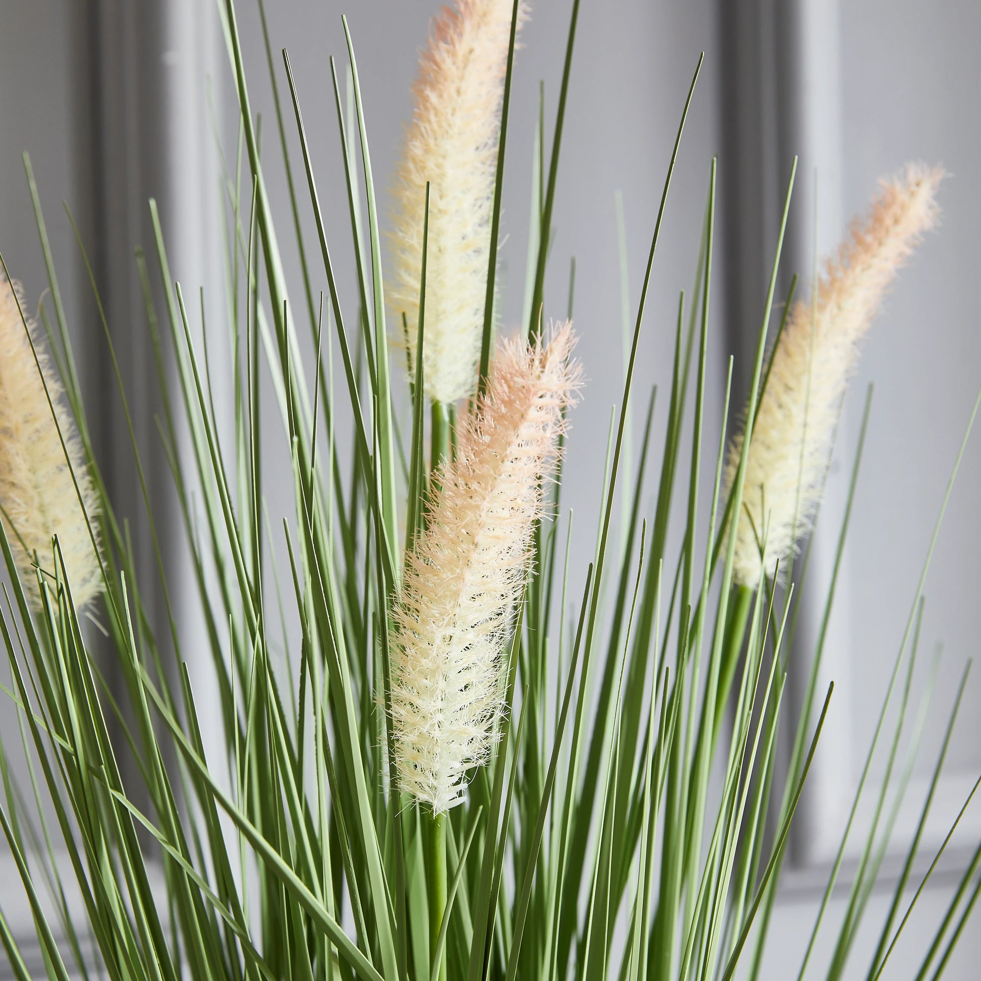 Künstliches Lampenputzergras - Lysandros, 56 cm, Kunstpflanze von aplanta, mit Fruchtstamm, in Grün, für drinnen