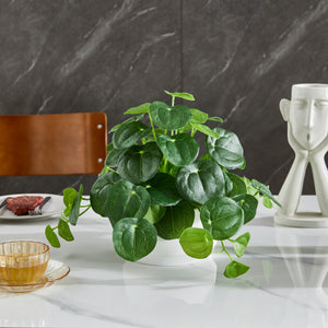 Künstlicher Geldbaum – Cassian | 24 cm