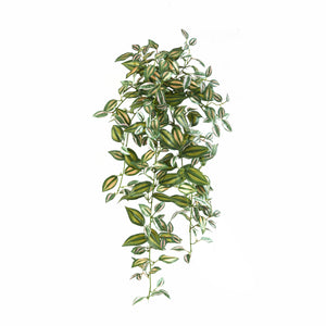 Künstliches Zebrakraut - Ariana  | 80 cm