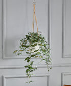 Künstliches Zebrakraut - Ariana  | 80 cm