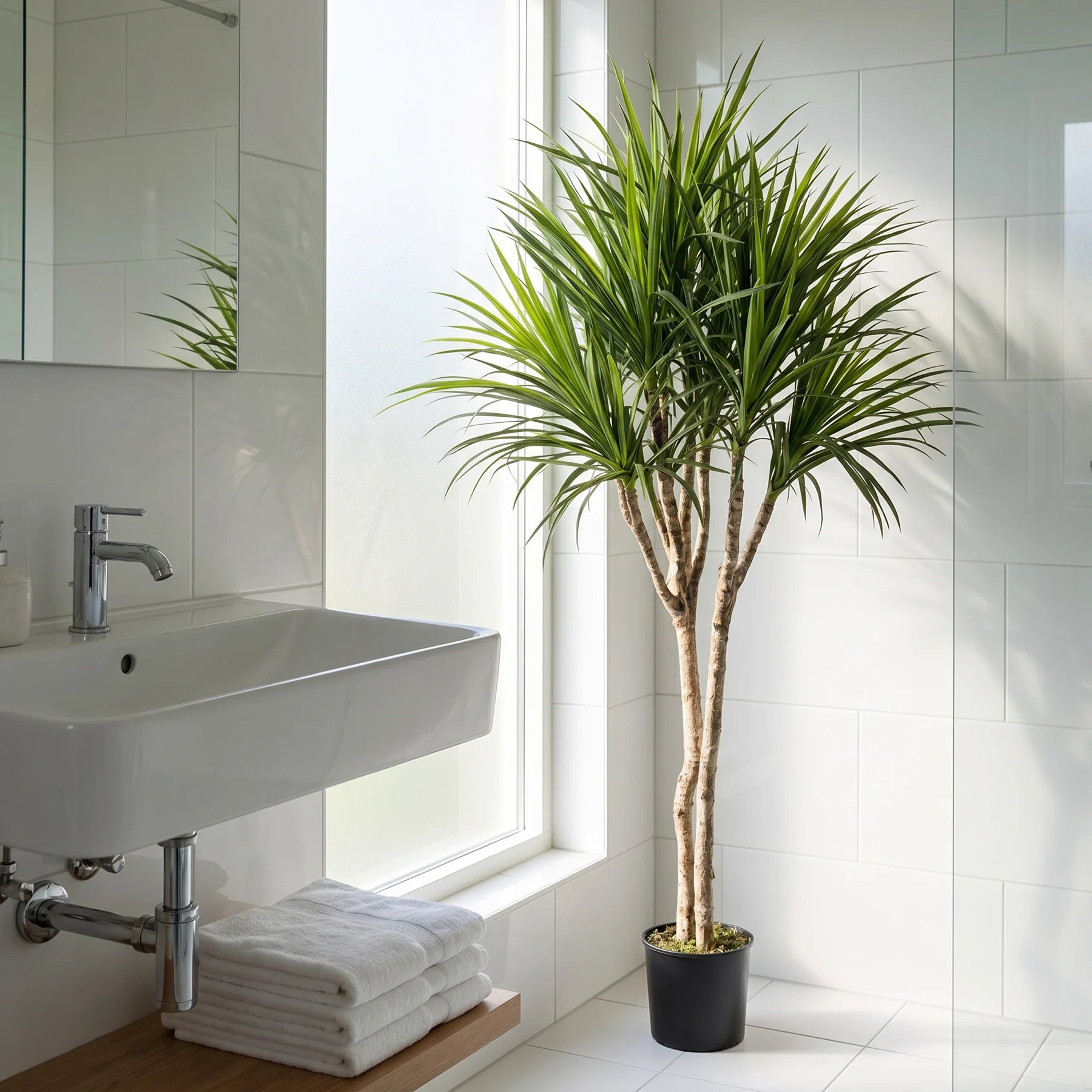 Künstliche Dracaena - Elianor, 180 cm, Kunstbaum von aplanta, mit Echtholzstamm, in Grün, für drinnen