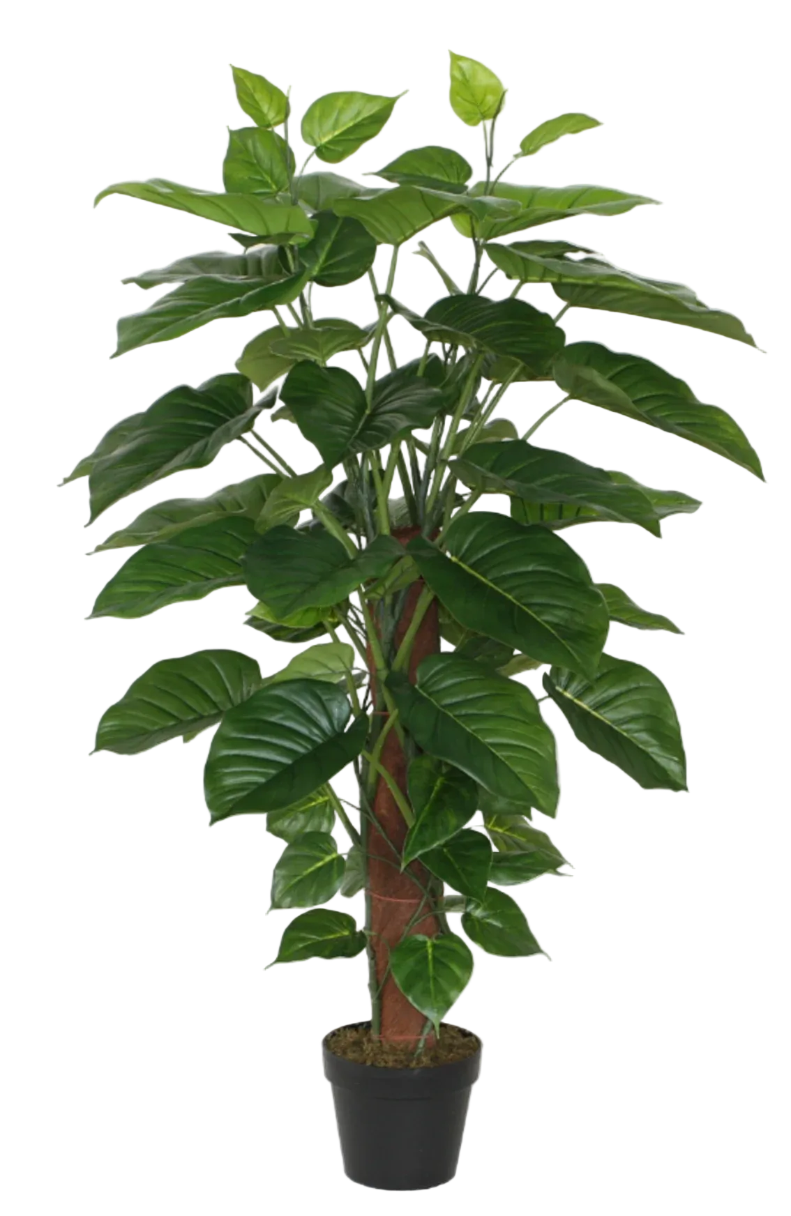 Künstlicher Pothos - Elowyn, 120 cm, Kunstpflanze von aplanta, in Grün, für drinnen