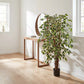 Künstlicher Ficus - Ravian, 150 cm, Kunstbaum von aplanta, mit Echtholzstamm, inkl. Startertopf, in Natur, für drinnen