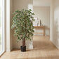 Künstlicher Ficus - Ravian, 180 cm, Kunstbaum von aplanta, mit Echtholzstamm, inkl. Startertopf, in Natur, für drinnen
